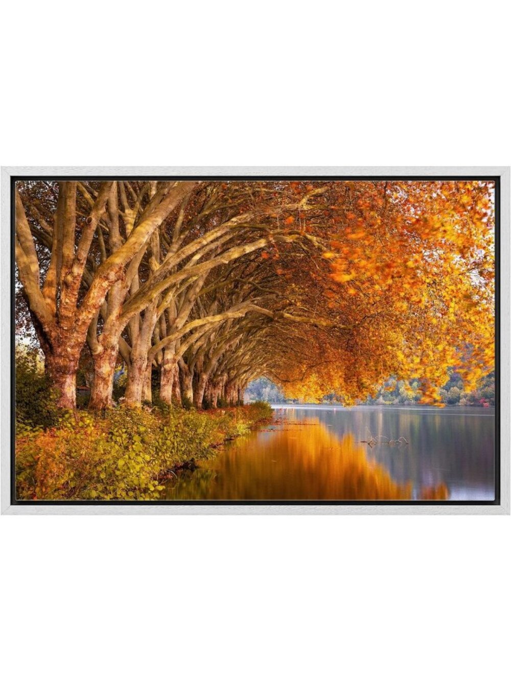 Framed Canvas Print Autumn Fall Orange Leaf Forest Lake Nature Art 24x36